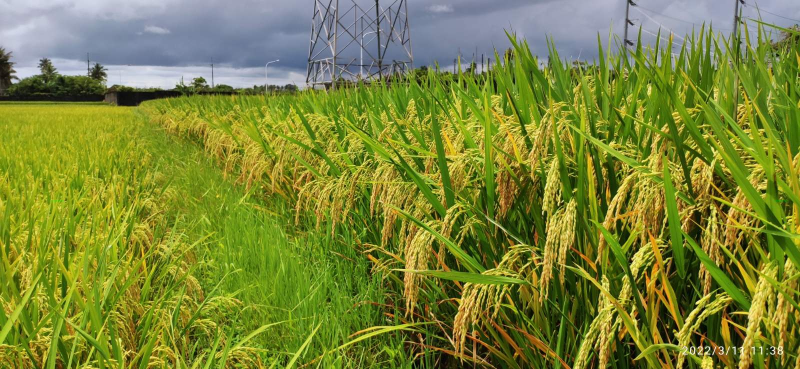 Farm Image Placeholder